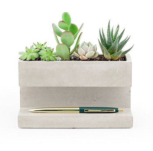 Concrete Desktop Planter & Organizer