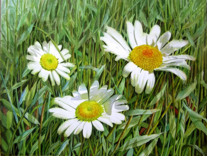 daisy painting & daisy paint by number #painting