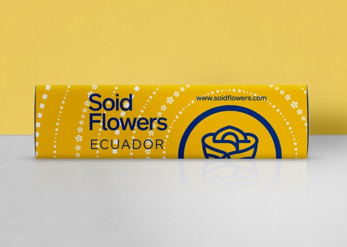 packaging, roses, flowers, box, identity, branding