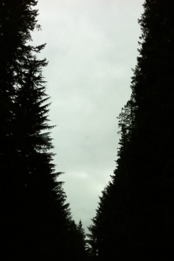 Baubauhaus. #photo