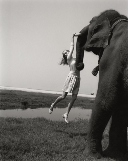 Elisabeth Toll » Elephant : LUNDLUND #photography #girl #elephant