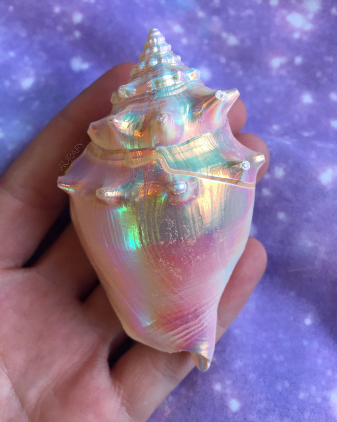 cosmicdreamclub: " 🎀🌈🐚 "