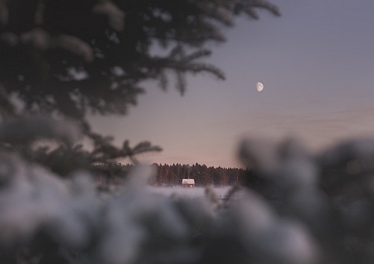 Update: Photography by Anna Ådén I Art Sponge #sweden #snow #night #dn #photography #anna #moon