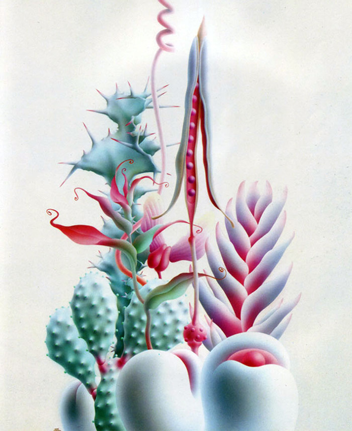 Amazing Cactuses