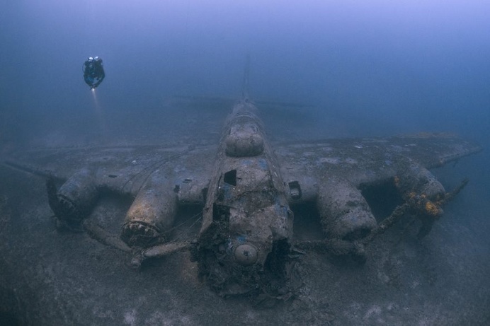 The Stunning Winners Of The 2017 Underwater Photographer Of The Year