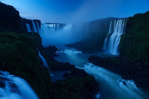 Wildlife Project by Markus Mauthe for Greenpeace #wildlife #photography #nature