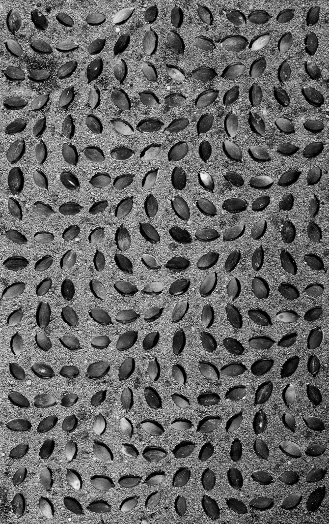 #texture #seamless #seeds #illusion