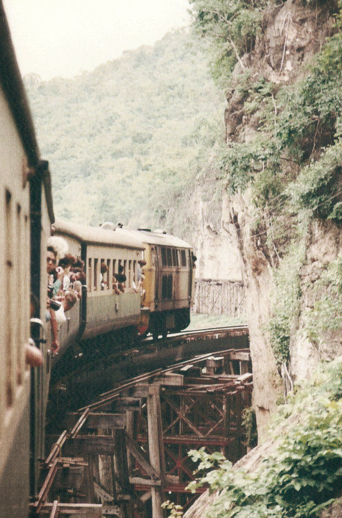 observando #train #ride #journey #photography #rail #carriages #jungle
