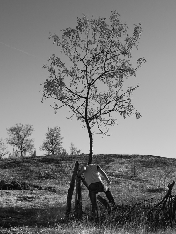 CJWHO ™ (Tree People by Marko Prelic Surreal portraits of...) #design #landscape #photography #art #surreal