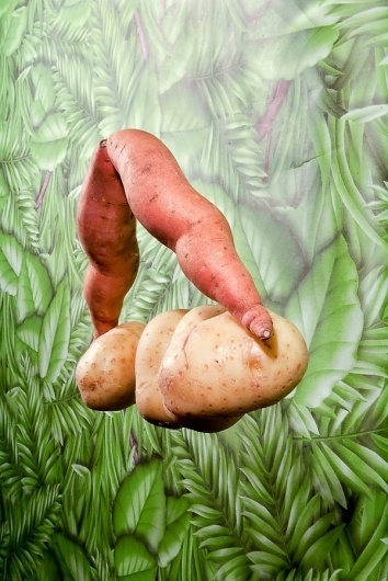 I like this blog #food #typography