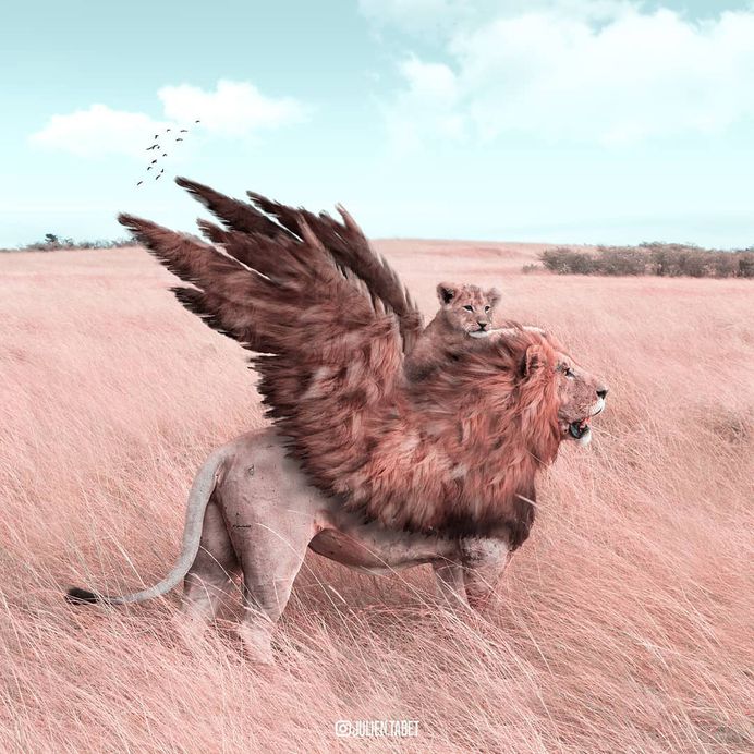 Dreamlike Animals: Whimsical Photo Manipulations by Julien Tabet