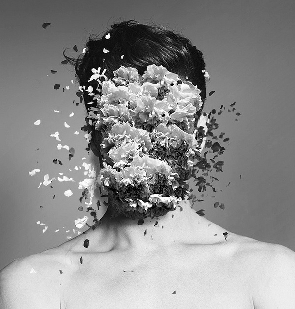 photo #white #black #sp
