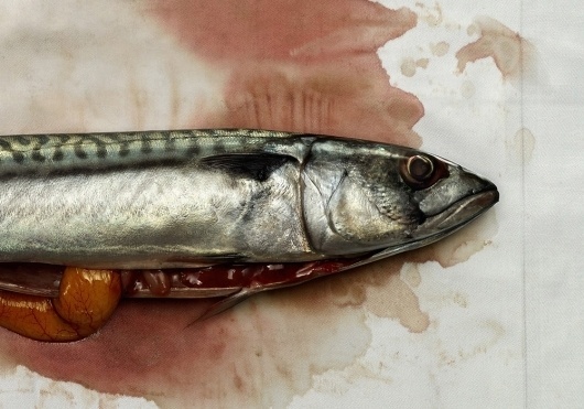 Collate #paint #fish