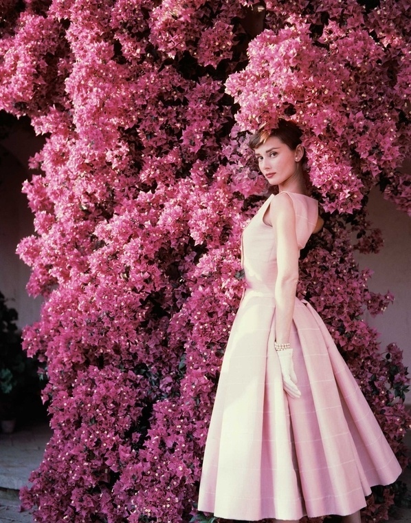 Norman Parkinson - Audrey Hepburn and bougainvillea - Photos - Photohab - Photographer's Portfolios #fashion #photography #inspiration