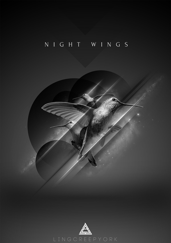 Night Wings #davis #night #behance #lyndel #wings