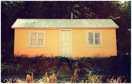 casa naranja | Flickr: Intercambio de fotos #forest #architecture #house #landscape