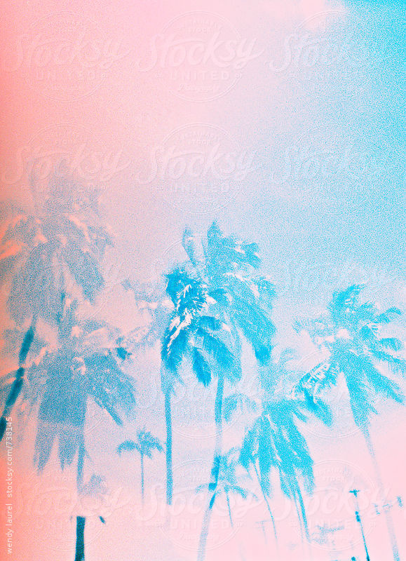 Dreamy palm trees, shot on film #analogue #photography #film #pastel