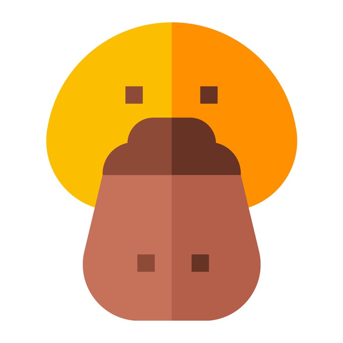 See more icon inspiration related to platypus, animal kingdom, mammal, wildlife, animals and animal on Flaticon.