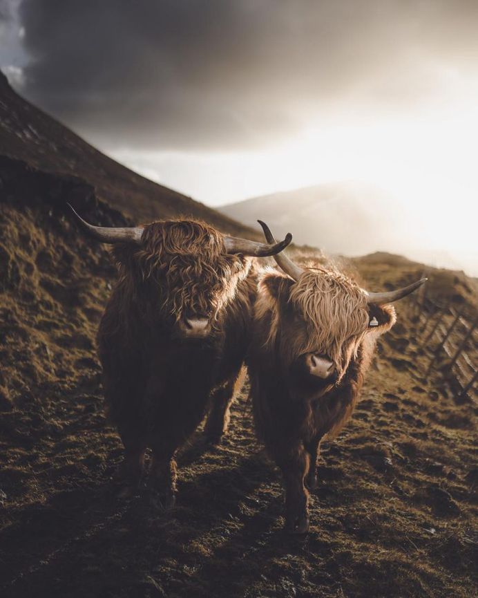 #neverstopexploring: Stunning Moody Adventure Photography by Simon von Broich