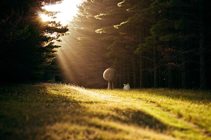 Проснись, #photoillustration