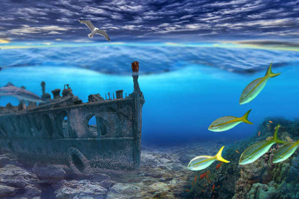 sea wreck #ocean #wreck #fish #sea