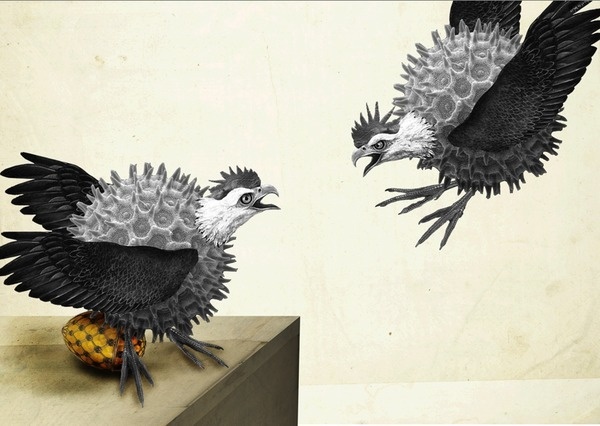 scrapbook creations on Behance #egg #flight #micro #virus #birds #wings