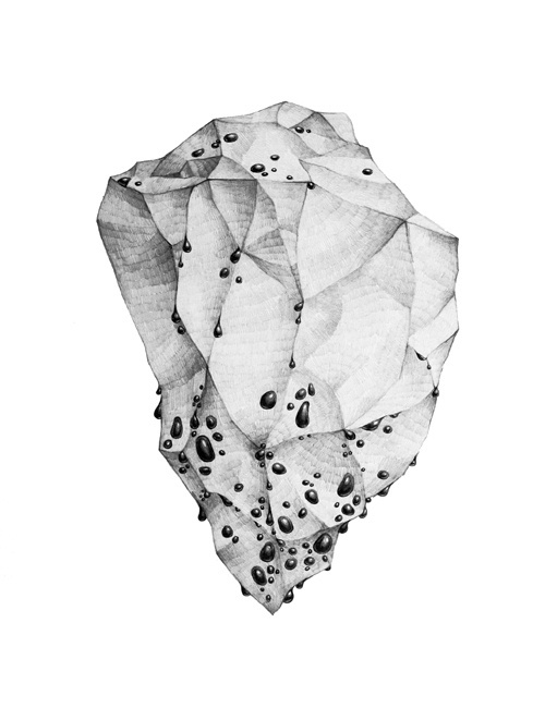 In/Organic on Behance #abstract #form #conceptual #illustration #pencil