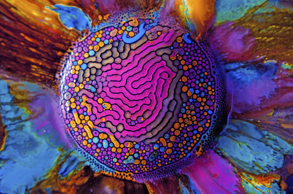 Millefiori No. 01 (2012) Ferrofluid is a magnetic, hydrophobic liquid that forms colorful curves and channels when deposited onto a magnet a #colors #color