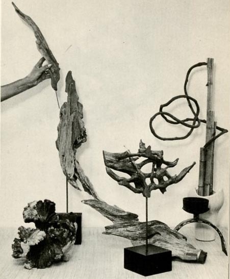 weathered+wood+with+flowers+(3).jpg (451×547) #drvo