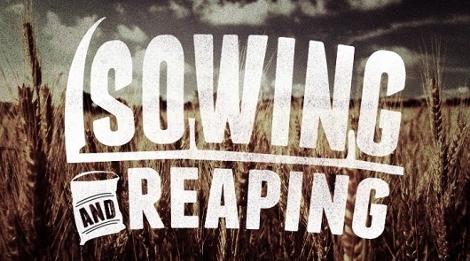 Typeset Design » Resurgence Showcase #4