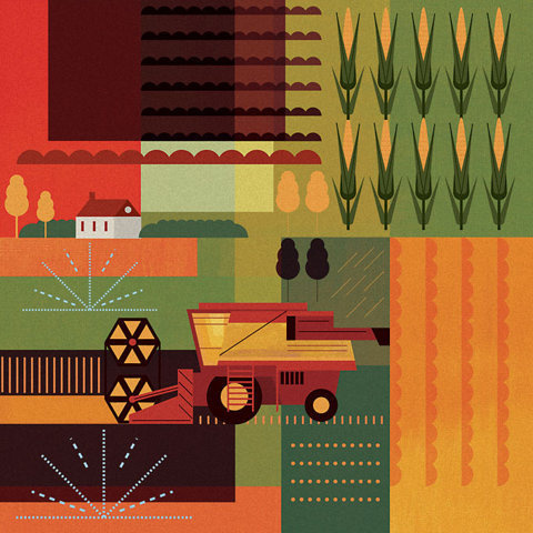 Mike Lemanski | Allan Peters #red #muted #yellow #graphic #color #rows #farming #illustration #brown #corn #harvester #green