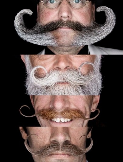 http://inspire.2ia.pl/page/5 #photography #moustache