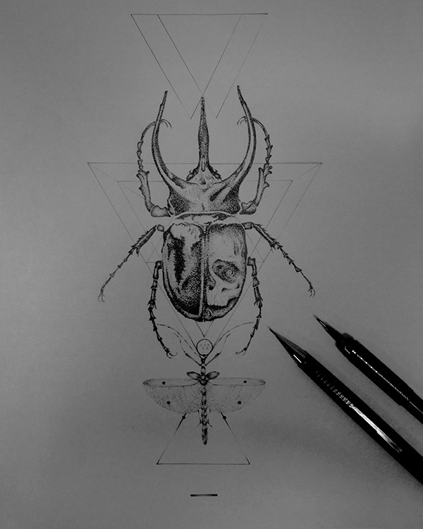 Pencil Drawing IV on Behance #ink #white #scarab #black #beetle #illustration #and #drawing #sketch