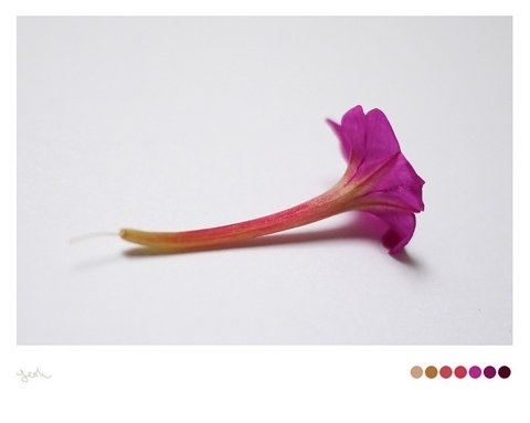 FFFFOUND! #photography
