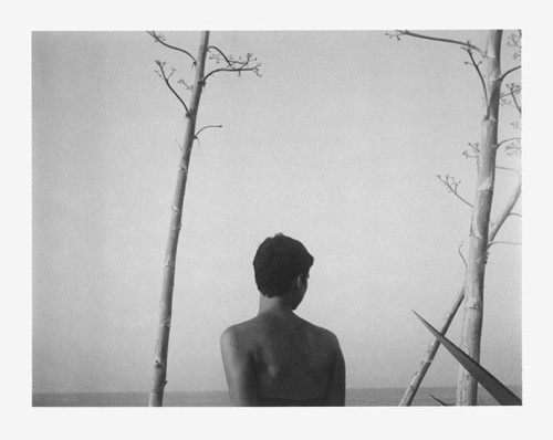tumblr_lnu3eldHsO1qzm3keo1_500.jpg (Imagem JPEG, 500x398 pixéis) #photography #white #black #and