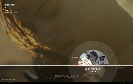 nanozoom website #web