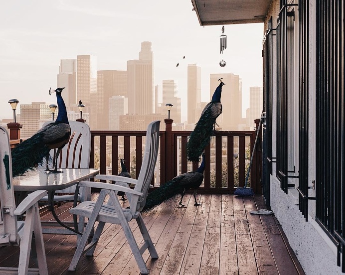 Stunning Instagrams by Brad Romano