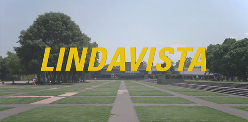 Tumblr #type #universe