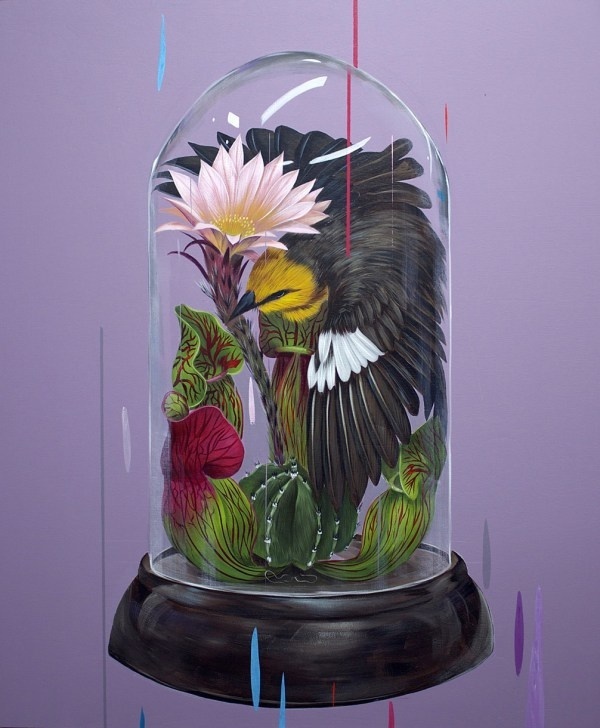 Frank Gonzales | PICDIT