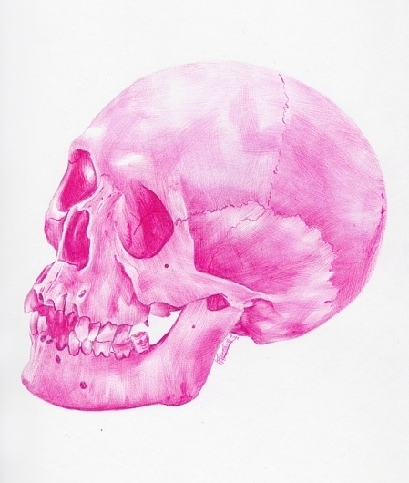 Ballpoint pen drawings. on the Behance Network #pink #skull #pencil #draw
