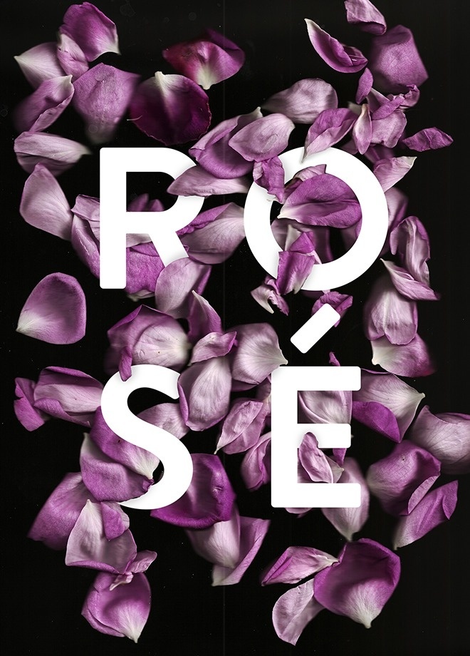 Cocorrina: BOTANICAL: ROSE STUDY