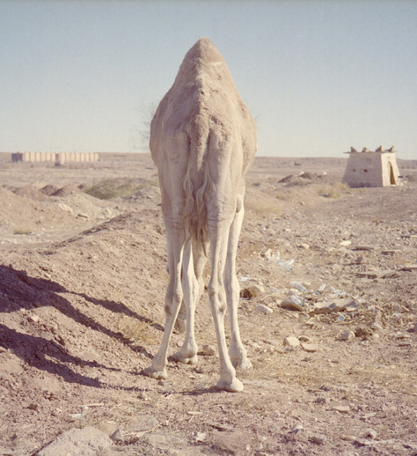 Travel Photography by Jennifer Loeber