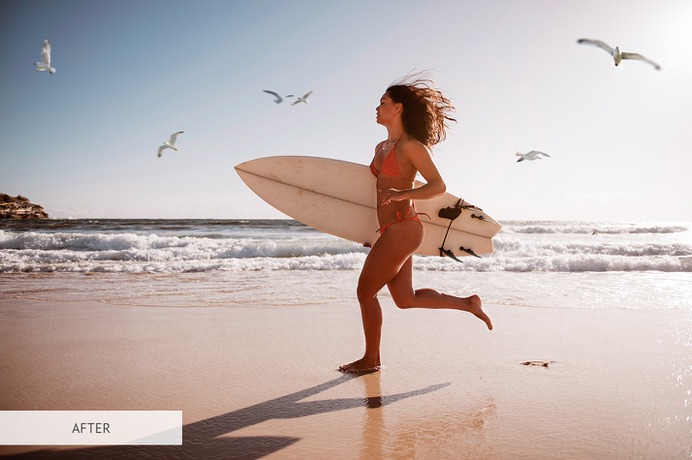 Flying Seagulls Photoshop Overlay – 31 High-quality Photoshop Overlays