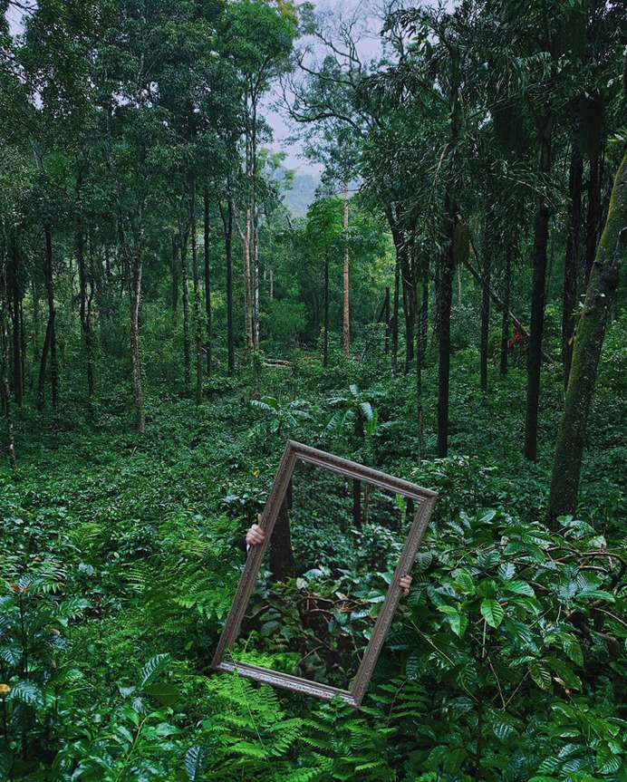 overgrown.jpg (721×900)