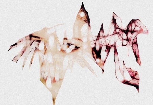 Eni Turkeshi Creating Ethereal, Haunting Images through Experimenting with Photography | Ape on the Moon: Contemporary Visual Culture #lens #exposure #photography #art #cracked