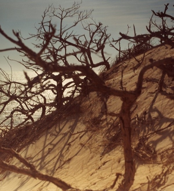 Landscape Photography by Martina Hoogland Ivanow #inspiration #photography #landscape