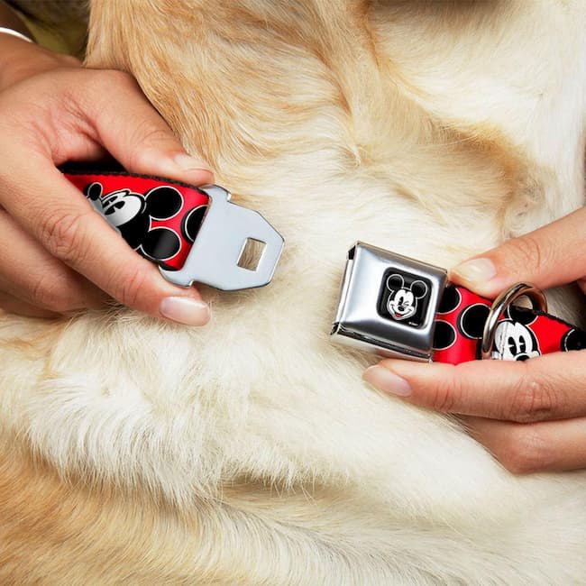 Winking Mickey Mouse Seatbelt Buckle Dog Collar