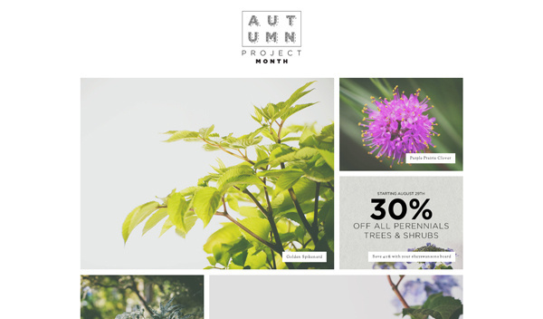 FAQ — Autumn Project Month Lookbook #plants #photography #studio #foiliage #flowers