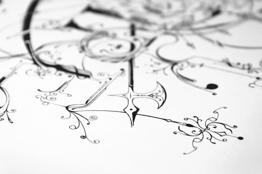 Empire - Buzzsgraphics #wild #buzzsgraphics #ornate #empire #illustration #typography