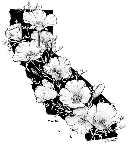 "California In Bloom" by Chris Cerrato | http://www.cerratosaurus.com/
